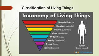 Classification of Living Things
 