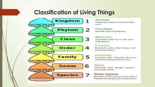 Classification of Living Things
 
