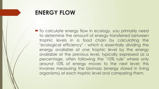 ENERGY FLOW
 To calculate energy flow in ecology, you primarily need
to determine the amount of energy transferred between
trophic levels in a food chain by calculating the
"ecological efficiency" - which is essentially dividing the
energy available at one trophic level by the energy
available at the previous level, typically expressed as a
percentage, often following the "10% rule" where only
around 10% of energy moves to the next level; this
involves measuring the biomass (energy stored in living
organisms) at each trophic level and comparing them.
 