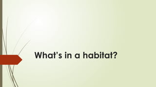What’s in a habitat?
 