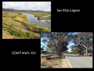 San Elijo Lagoon




Coast Hwy. 101
 