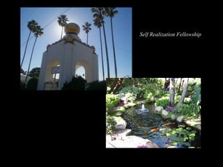 Self Realization Fellowship
 