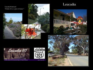 Leucadia Boulevard
                                       Leucadia
“I think of it as a piece of music.”
 