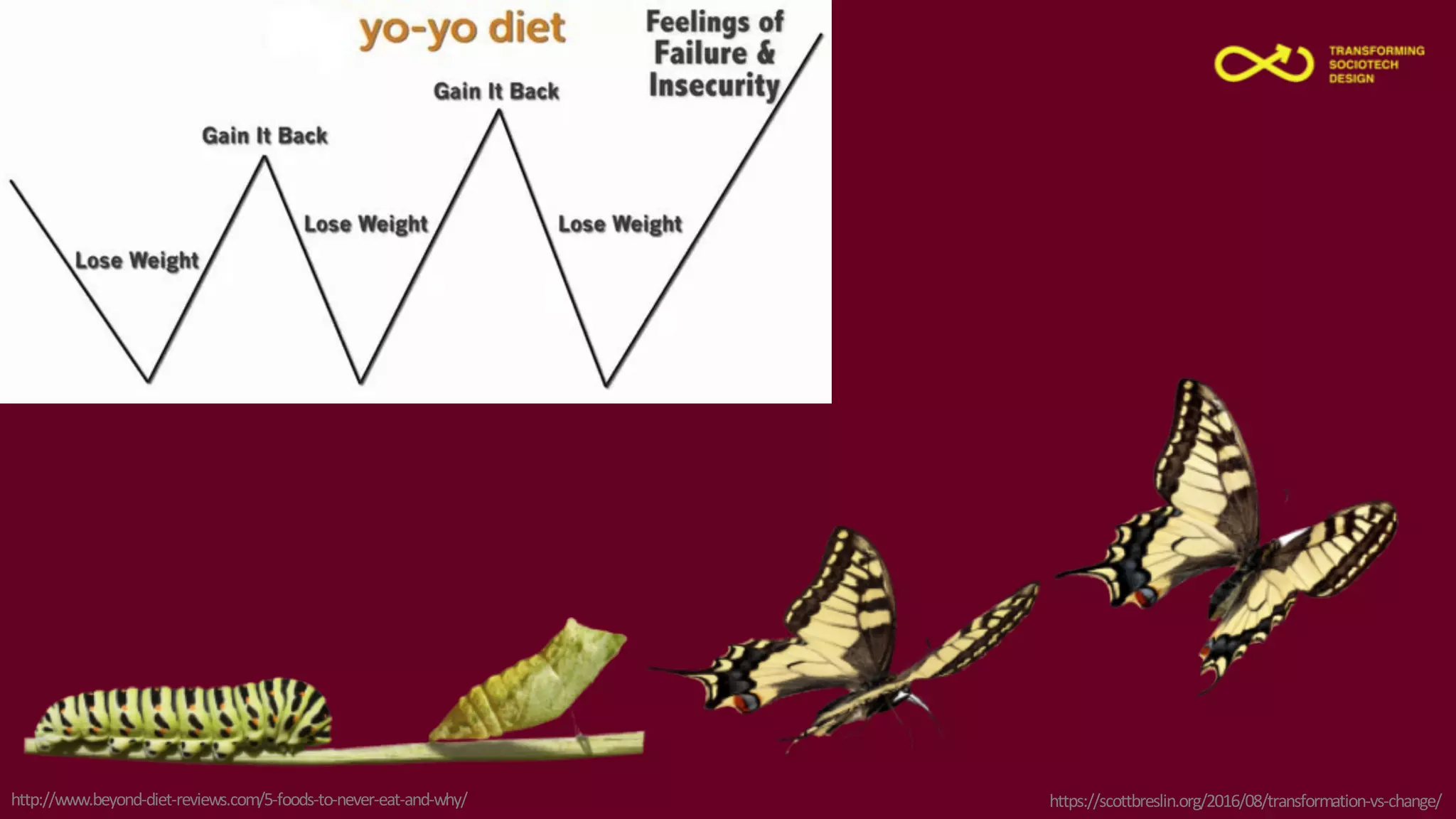 Slide 7