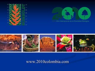 www.2010colombia.com 