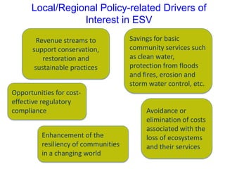 Local/Regional Policy-related Drivers of
Interest in ESV
(Scarlett & Boyd, 2011)
Revenue streams to
support conservation,
restoration and
sustainable practices
Savings for basic
community services such
as clean water,
protection from floods
and fires, erosion and
storm water control, etc.
Opportunities for cost-
effective regulatory
compliance Avoidance or
elimination of costs
associated with the
loss of ecosystems
and their services
Enhancement of the
resiliency of communities
in a changing world
 