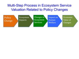 Multi-Step Process in Ecosystem Service
Valuation Related to Policy Changes
Economic
Value of
Changes
Impact on
Human
Welfare
Changes in
Ecosystem
Services
Ecosystem
Impacts
Policy
Change
 