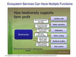 Ecosystem Services Can Have Multiple Functions
http://agbiodiversity.com/AgBiodviersityProject/Howbiodiversitysupportsfarmprofits/tabid/133/Default.aspx
 