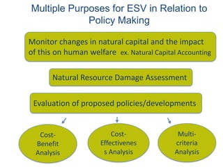 Multiple Purposes for ESV in Relation to
Policy Making
Monitor changes in natural capital and the impact
of this on human welfare ex. Natural Capital Accounting
Natural Resource Damage Assessment
Evaluation of proposed policies/developments
Cost-
Benefit
Analysis
Cost-
Effectivenes
s Analysis
Multi-
criteria
Analysis
 