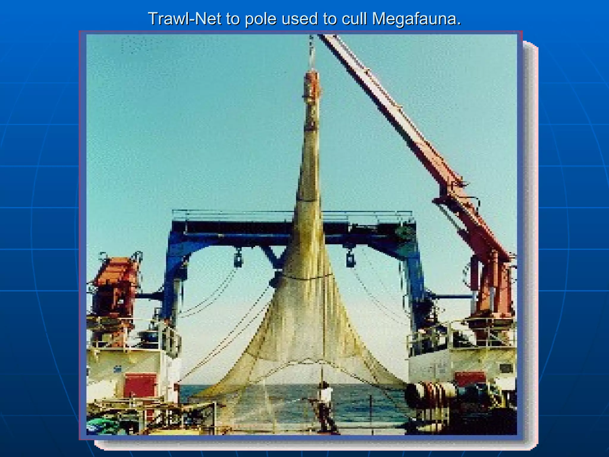 Trawl-Net to pole used to cull Megafauna. 