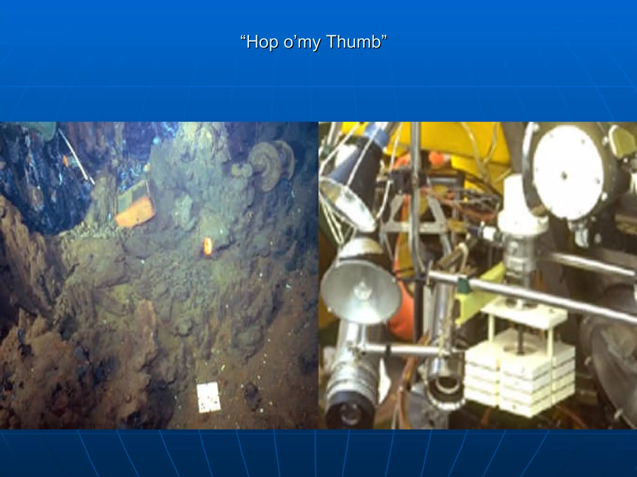 “ Hop o’my Thumb”  