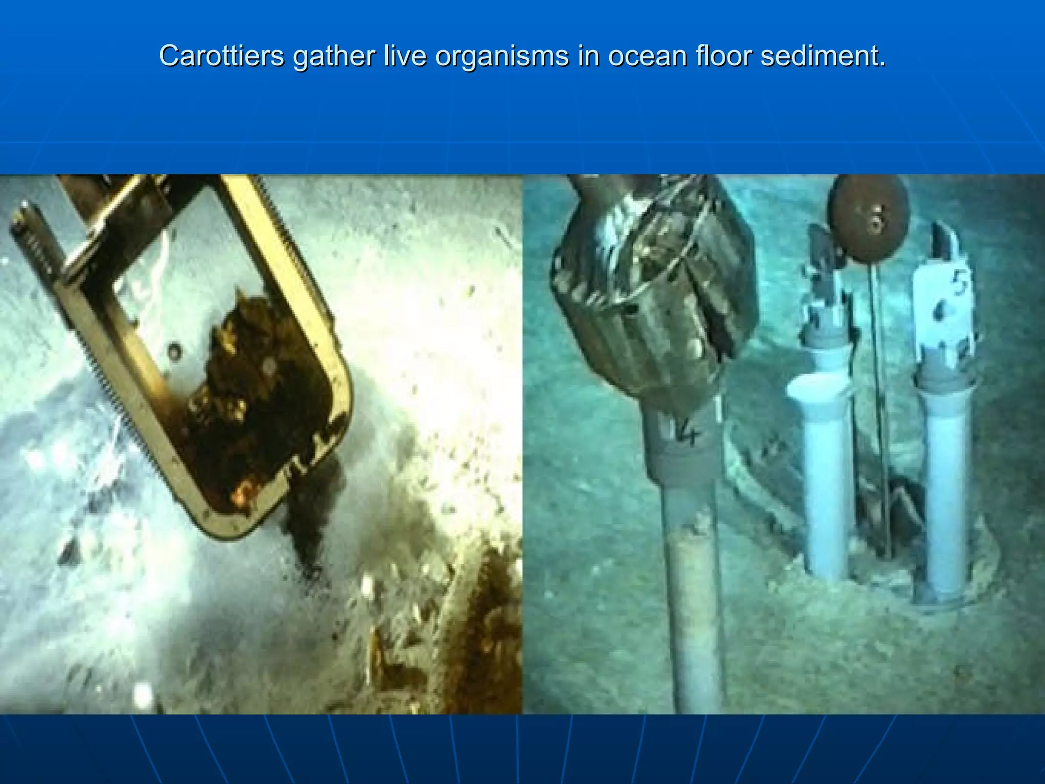 Carottiers gather live organisms in ocean floor sediment. 