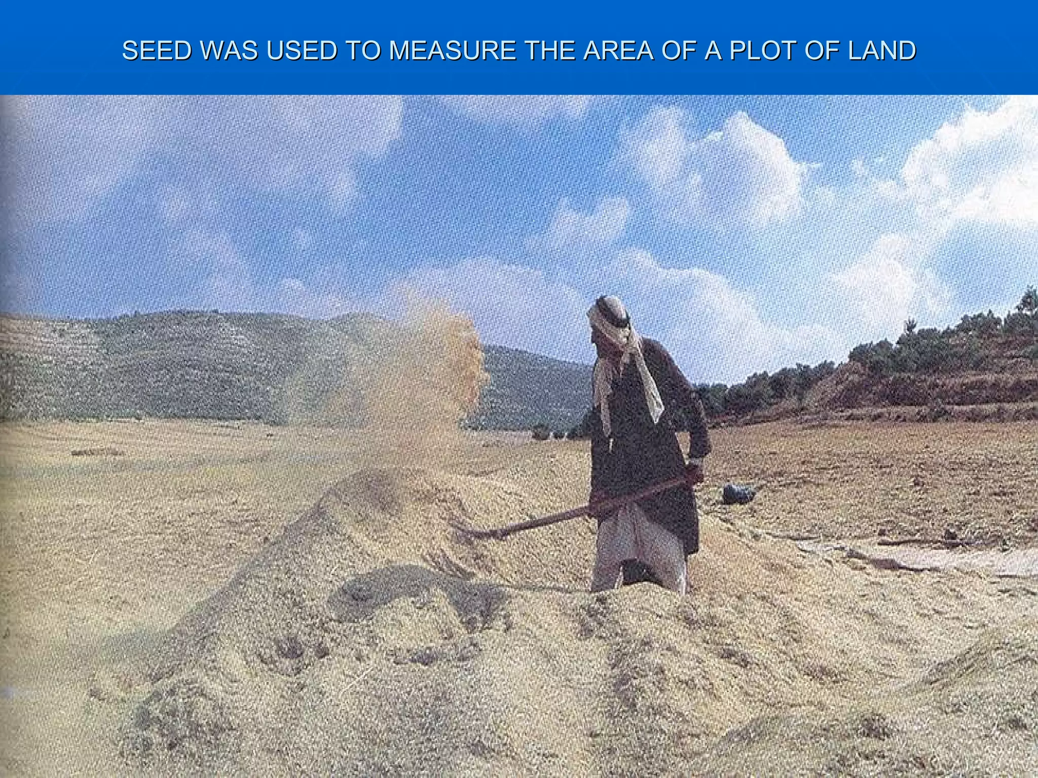 SEED WAS USED TO MEASURE THE AREA OF A PLOT OF LAND 