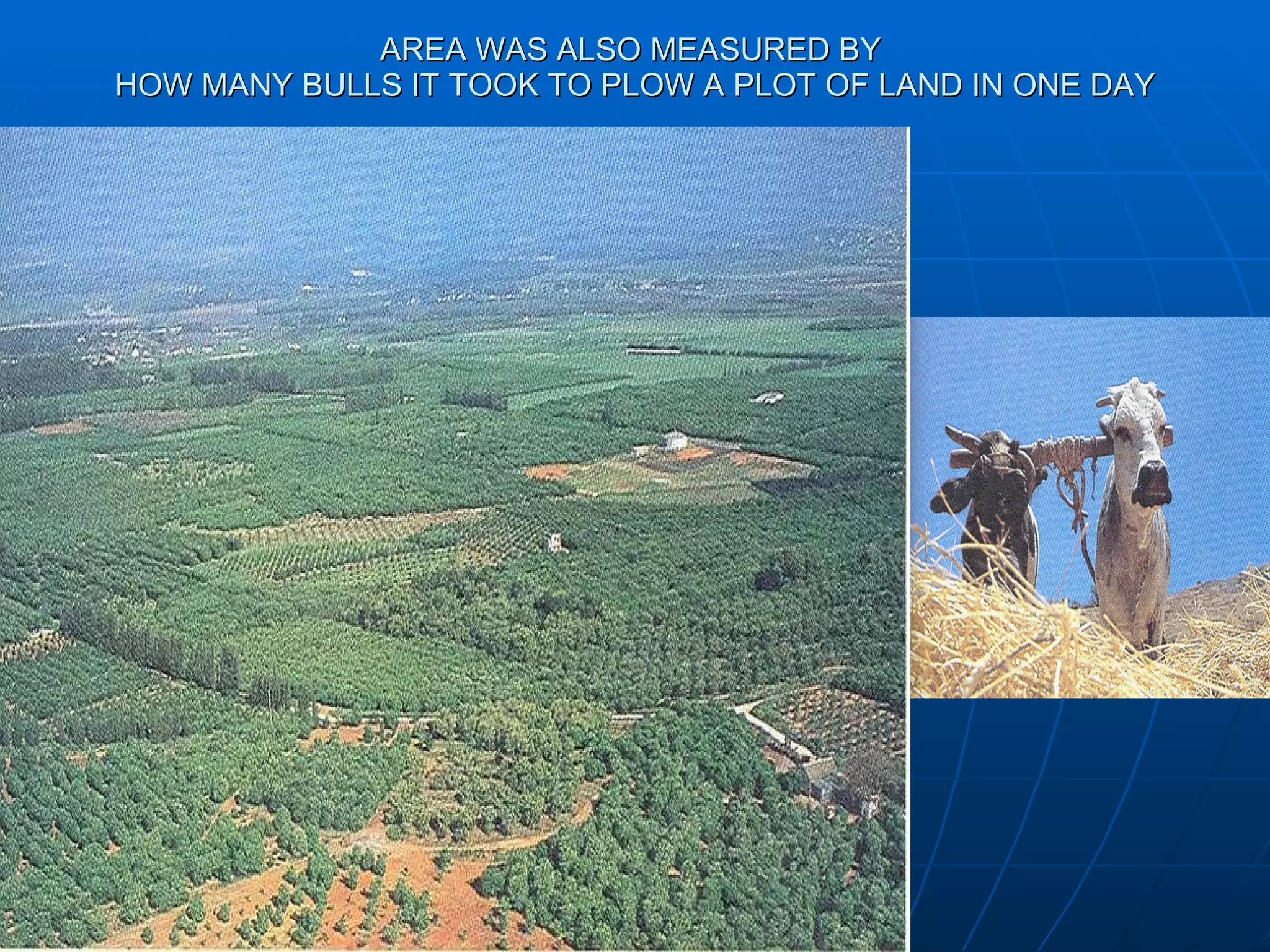 AREA WAS ALSO MEASURED BY  HOW MANY BULLS IT TOOK TO PLOW A PLOT OF LAND IN ONE DAY 
