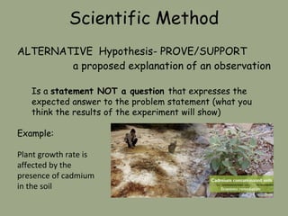 Scientific Method
ALTERNATIVE Hypothesis- PROVE/SUPPORT
a proposed explanation of an observation
Is a statement NOT a question that expresses the
expected answer to the problem statement (what you
think the results of the experiment will show)
Example:
Plant growth rate is
affected by the
presence of cadmium
in the soil
 
