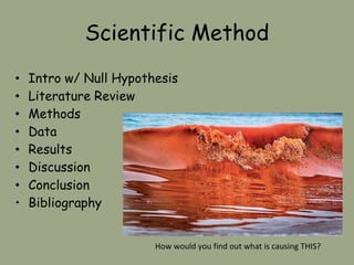 Scientific Method
• Intro w/ Null Hypothesis
• Literature Review
• Methods
• Data
• Results
• Discussion
• Conclusion
• Bibliography
How would you find out what is causing THIS?
 
