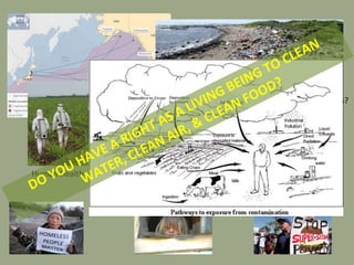 Why is it so complicated?
Social
Economic
Political
Environmental
Human Health
Cultural, Science, Religion, others?
Poverty, Supply & Demand, Opportunity, Local & Global Economies, others?
Local, State, National & International Laws, Acquisitions/Wars, others?
Social Justice, Cancer, Viruses, Pesticides, others?
Animal Welfare, Agriculture, Pesticide Availability,
others?
SUPERWEEDS
 