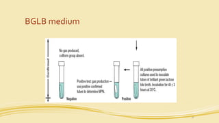 Env Microbiology-Lecture 01 water Microbiology.pptx