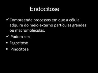 Endocitose
Compreende processos em que a célula
adquire do meio externo partículas grandes
ou macromoléculas.
 Podem ser:
 Fagocitose
 Pinocitose
 