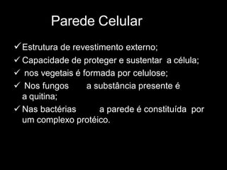 Parede Celular
Estrutura de revestimento externo;
 Capacidade de proteger e sustentar a célula;
 nos vegetais é formada por celulose;
 Nos fungos a substância presente é
a quitina;
 Nas bactérias a parede é constituída por
um complexo protéico.
 