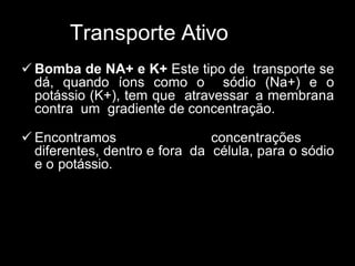Transporte Ativo
 Bomba de NA+ e K+ Este tipo de transporte se
dá, quando íons como o sódio (Na+) e o
potássio (K+), tem que atravessar a membrana
contra um gradiente de concentração.
 Encontramos concentrações
diferentes, dentro e fora da célula, para o sódio
e o potássio.
 