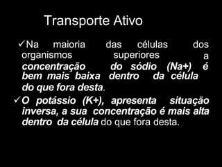 Transporte Ativo
Na maioria das células dos
a
organismos superiores
concentração do sódio (Na+) é
bem mais baixa dentro da célula
do que fora desta.
O potássio (K+), apresenta situação
inversa, a sua concentração é mais alta
dentro da célula do que fora desta.
 
