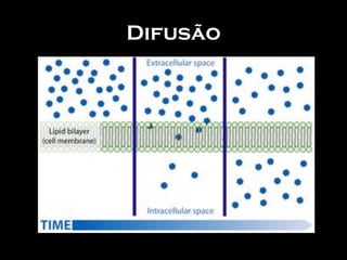 Difusão
 