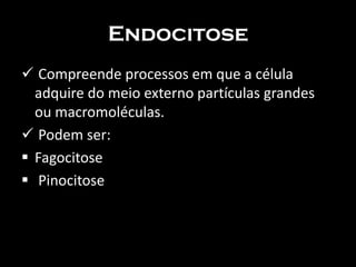 Endocitose
 Compreende processos em que a célula
  adquire do meio externo partículas grandes
  ou macromoléculas.
 Podem ser:
 Fagocitose
 Pinocitose
 
