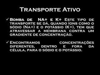 Transporte Ativo
 Bomba de NA+ e K+ Este tipo de
  transporte se dá, quando íons como o
  sódio (Na+) e o potássio (K+), tem que
  atravessar a membrana contra um
  gradiente de concentração.

 Encontramos            concentrações
  diferentes,   dentro     e   fora  da
  célula, para o sódio e o potássio.
 