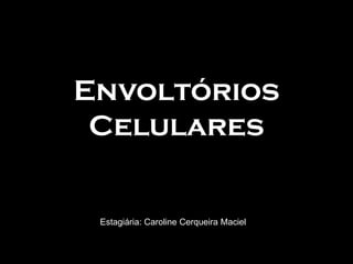 Envoltórios
 Celulares


 Estagiária: Caroline Cerqueira Maciel
 