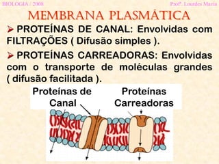 Membrana plasmática
BIOLOGIA / 2008 Profª. Lourdes Maria
 PROTEÍNAS DE CANAL: Envolvidas com
FILTRAÇÕES ( Difusão simples ).
 PROTEÍNAS CARREADORAS: Envolvidas
com o transporte de moléculas grandes
( difusão facilitada ).
Proteínas de
Canal
Proteínas
Carreadoras
 