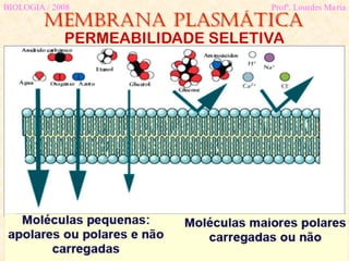 Membrana plasmática
BIOLOGIA / 2008 Profª. Lourdes Maria
PERMEABILIDADE SELETIVA
 