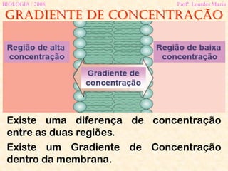MEMBRANA
PLASMÁTICA
Gradiente de concentração
BIOLOGIA / 2008 Profª. Lourdes Maria
Existe uma diferença de concentração
entre as duas regiões.
Existe um Gradiente de Concentração
dentro da membrana.
 