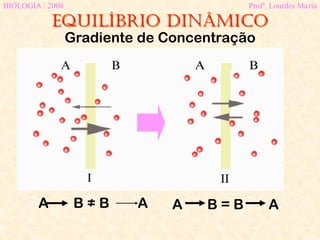 Equilíbrio dinâmico
BIOLOGIA / 2008 Profª. Lourdes Maria
Gradiente de Concentração
A B ≠ B A A B = B A
 