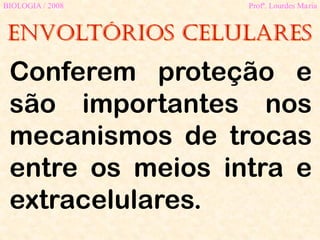 Envoltórios celulares
BIOLOGIA / 2008 Profª. Lourdes Maria
Conferem proteção e
são importantes nos
mecanismos de trocas
entre os meios intra e
extracelulares.
 