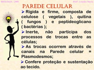 Parede celular
BIOLOGIA / 2008 Profª. Lourdes Maria
 Confere proteção e sustentação
ao tecido.
 Inerte, não participa dos
processos de trocas entre as
células;
 Rígida e firme, composta de
celulose ( vegetais ), quitina
( fungos ) e peptídeoglicano
( bactérias );
 As trocas ocorrem através de
canais na Parede celular =
Plasmodesmos;
 