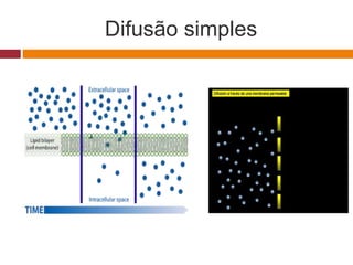 Difusão simples
 