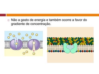  Não a gasto de energia e também ocorre a favor do
gradiente de concentração.
 