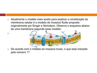  Atualmente o modelo mais aceito para explicar a constituição da
membrana celular é o modelo do mosaico fluido proposto
originalmente por Singer e Nicholson. Observe o esquema abaixo
de uma membrana segundo esse modelo:

 De acordo com o modelo do mosaico fluido, o que está indicado
pelo número 1?
 
