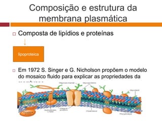 Composição e estrutura da
membrana plasmática
 Composta de lipídios e proteínas
 Em 1972 S. Singer e G. Nicholson propõem o modelo
do mosaico fluido para explicar as propriedades da
membrana.
lipoproteica
 
