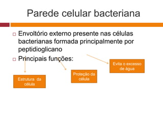 Parede celular bacteriana
 Envoltório externo presente nas células
bacterianas formada principalmente por
peptidioglicano
 Principais funções:
Estrutura da
célula
Proteção da
célula
Evita o excesso
de água
 