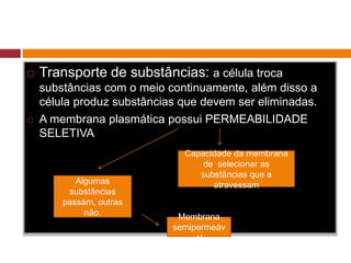  Transporte de substâncias: a célula troca
substâncias com o meio continuamente, além disso a
célula produz substâncias que devem ser eliminadas.
 A membrana plasmática possui PERMEABILIDADE
SELETIVA
Capacidade da membrana
de selecionar as
substâncias que a
atravessamAlgumas
substâncias
passam, outras
não. Membrana
semipermeáv
el
 
