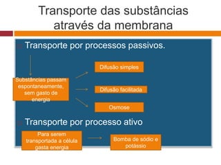 Transporte das substâncias
através da membrana
 Transporte por processos passivos.
 Transporte por processo ativo
Substâncias passam
espontaneamente,
sem gasto de
energia
Difusão simples
Difusão facilitada
Osmose
Para serem
transportada a célula
gasta energia
Bomba de sódio e
potássio
 