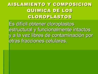 AISLAMIENTO Y COMPOSICION QUIMICA DE LOS CLOROPLASTOS Es difícil obtener cloroplastos estructural y funcionalmente intactos y a la vez libres de contaminación por otras fracciones celulares.  