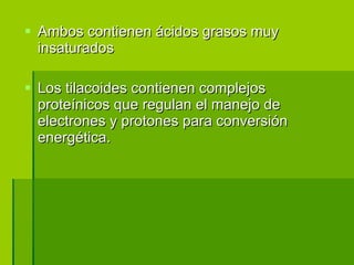 Ambos contienen ácidos grasos muy insaturados   Los tilacoides contienen complejos proteínicos que regulan el manejo de electrones y protones para conversión energética. 