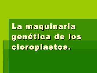 La maquinaria genética de los cloroplastos. 