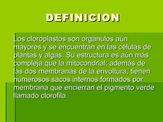 DEFINICION Los cloroplastos son orgánulos aún mayores y se encuentran en las células de plantas y algas. Su estructura es aún más compleja que la mitocondrial: además de las dos membranas de la envoltura, tienen numerosos sacos internos formados por membrana que encierran el pigmento verde llamado clorofila  
