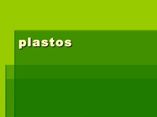 plastos 