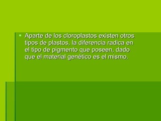 Aparte de los cloroplastos existen otros tipos de plastos, la diferencia radica en el tipo de pigmento que poseen, dado que el material genético es el mismo. 