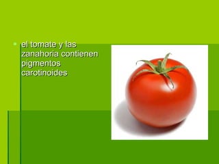 el tomate y las zanahoria contienen pigmentos carotinoides 